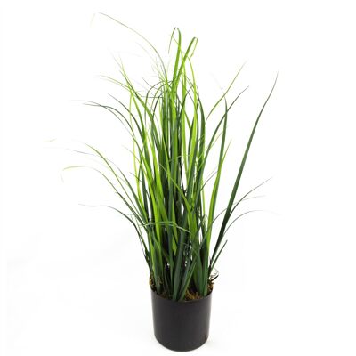 Plante de gazon artificiel, plante de citronnelle, plantes de 60cm