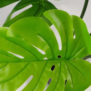 Plante artificielle de fromage Monstera, vigne Monstera, plantes de 70cm 3