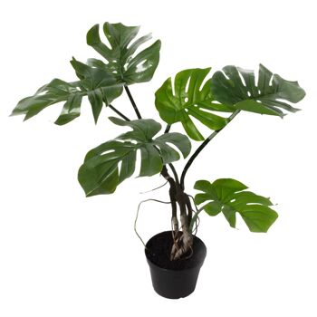 Plante Monstera artificielle Plante à fromage torsadée 60 cm Royaume-Uni 1