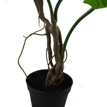 Plante Monstera artificielle Plante à fromage torsadée 60 cm Royaume-Uni 2