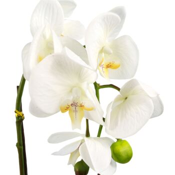 Orchidée Artificielle Blanc Foncé Argent 46cm 2