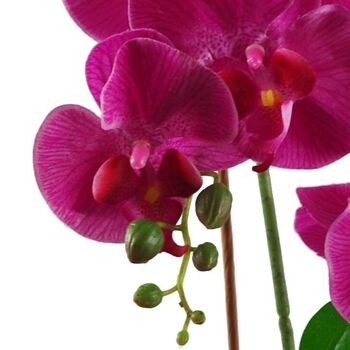Plante de fleur d'orchidée artificielle 65 cm rose foncé 3