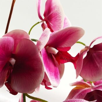 Plante de fleur d'orchidée artificielle 70 cm rose foncé 2