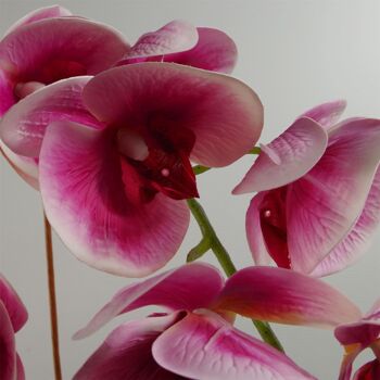 Plante artificielle de fleur d'orchidée 70cm jardinière en céramique noire rose foncé 5