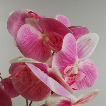 Plante de fleur d'orchidée artificielle 70 cm Pot en plastique rose 70 cm 3