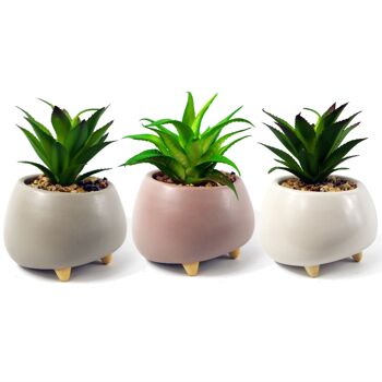 Plante Artificielle Jardinière en Céramique Succulente Gris 15cm 3