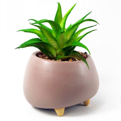 Artificial Plant Ceramic Planter Succulent Pink 15cm