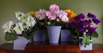 Plante artificielle fleurs marguerite blanche 4