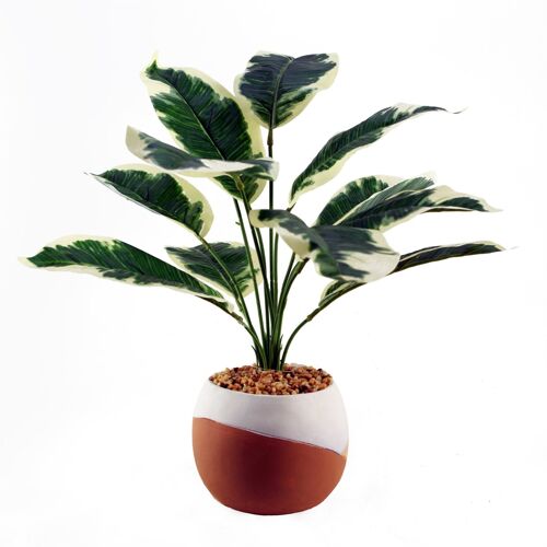 Artificial Plant Pothos Variagated Planter