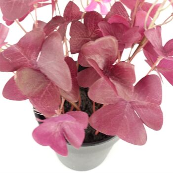Plante artificielle trèfle violet fleurs roses 2