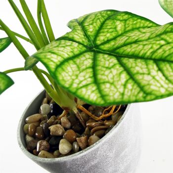 Plante artificielle Taro dans un pot décoratif 3
