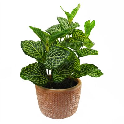 Pianta artificiale in vaso di terracotta Pothos arbusto