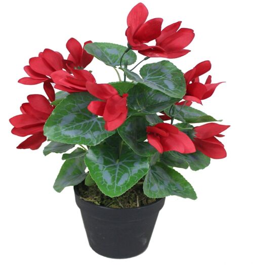 Artificial Red Flower Plant Cylamen Green Red 38cm Plants