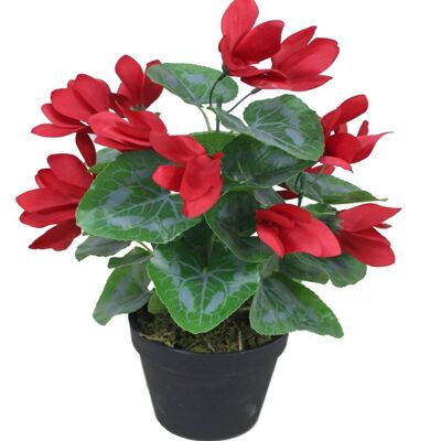 Artificial Red Flower Plant Cylamen Green Red 38cm Plants
