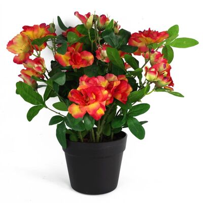 Plante de rhododendron artificielle, fleurs, plante Orange