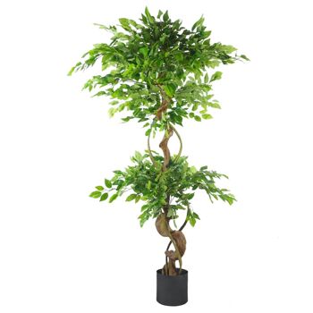 Jardinière japonaise Fruticosa Ficus noire, tronc torsadé de 150cm, artificiel 1