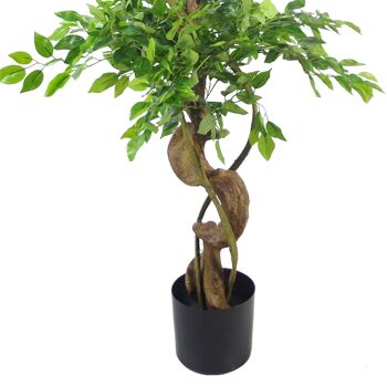 Jardinière japonaise Fruticosa Ficus noire, tronc torsadé de 150cm, artificiel 2