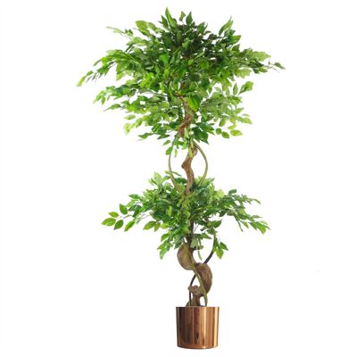 Jardinière japonaise en cuivre Fruticosa Ficus Tree 150 cm