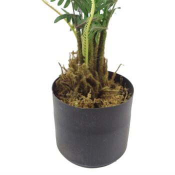 Grandes plantes de fougère artificielles en pot de 90 cm, fausses plantes réalistes de luxe 2