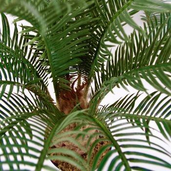 Grand palmier artificiel 60 cm Cycas Plant UK 4