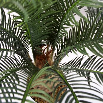 Grand palmier artificiel 60 cm Cycas Plant UK 5