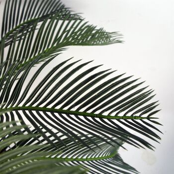Grand palmier artificiel 80 cm Cycas Plant UK 4