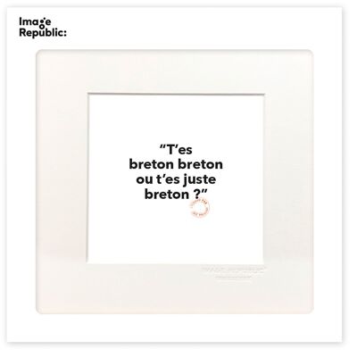 22x22 cm LOIC PRIGENT 103 YOU’RE BRETON BRETON