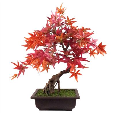 Künstlicher Bonsai-Baum, 50 cm, rote Acer-Desktop-Pflanzen