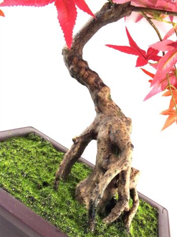Bonsaï artificiel 50 cm Rouge Acer Plantes de bureau 3