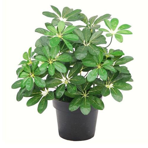 Artificial Bush Arboricola Plant 55cm Small Bush