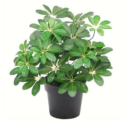 Arbusto Artificial Planta Arboricola 55cm Arbusto Pequeño