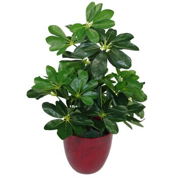 Buisson artificiel Arboricola plante 55 cm petit buisson 3