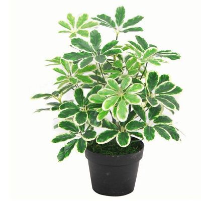 Arbusto Artificial Planta Arboricola 55cm Arbusto Pequeño