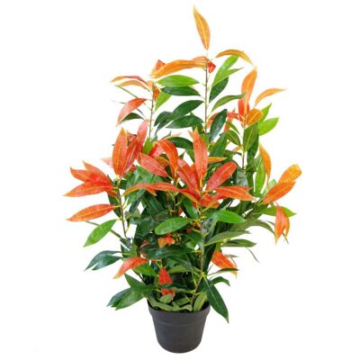 Planta de árbol de Ficus artificial Photinia Red Robin plantas verdes de 80 cm