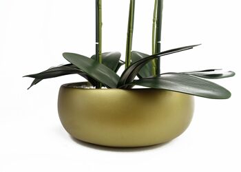 Orchidée pourpre - Jardinière en céramique dorée 3