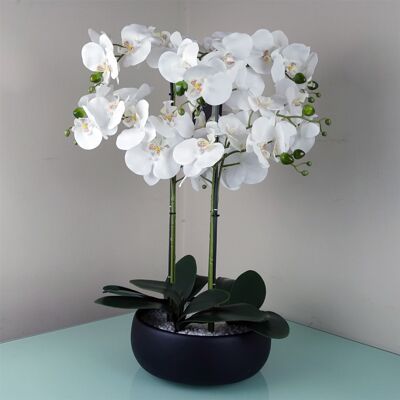 Blanco Orquídea - Jardinera Cerámica Negra