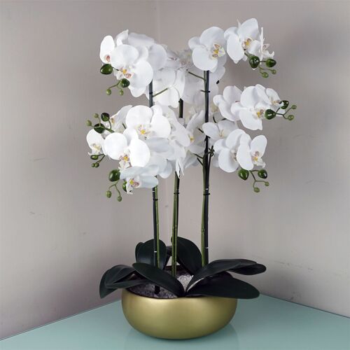 Orchid White - Gold Ceramic Planter