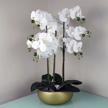 Orchidée blanche - Jardinière en céramique dorée 1