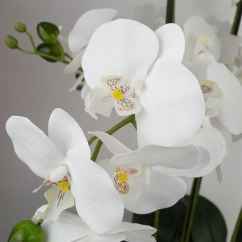 Orchidée Blanche - Jardinière en céramique effet marbre 2