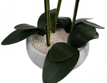 Orchidée Blanche - Jardinière en céramique effet marbre 5