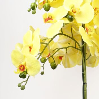 Orchidée jaune - Jardinière en céramique noire 3
