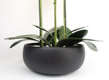 Orchidée jaune - Jardinière en céramique noire 4