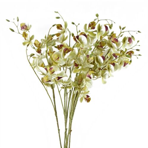 Pack of 6 x Artificial Flowers Cream Mini Orchid Stem 80cm