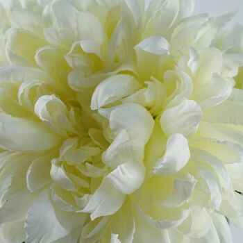 Pack de 6 x Fleurs Artificielles Chrysanthème Réflexe Extra Large - Blanc 75cm 5