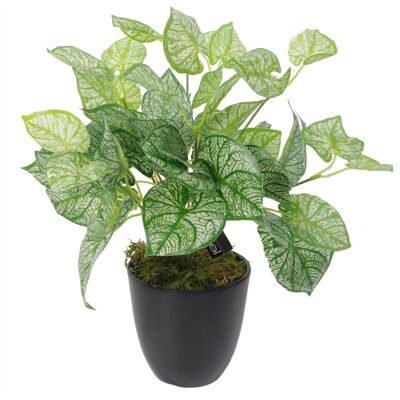 Plante de fougère artificielle 40 cm Plantes de Caladium