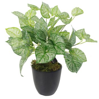 Plante de fougère artificielle 40 cm Plantes de Caladium 1