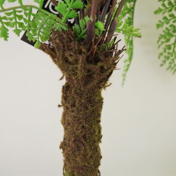 Plante de fougère artificielle, arbre de fougère en Pot de 65cm, fausses plantes d'intérieur réalistes 2