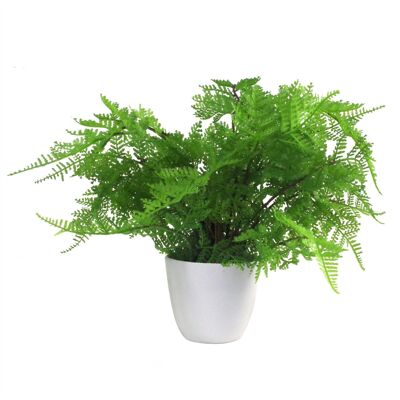 Vaso per piante di felce artificiale Lady Fern 30 cm Piante del Regno Unito