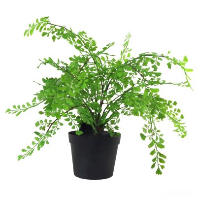 Vaso per piante di felce artificiale, capelvenere, 35 cm, pianta britannica