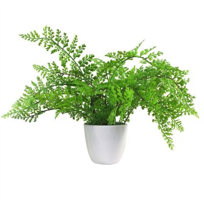 Vaso per piante di felce artificiale Royal Fern 30 cm Piante del Regno Unito